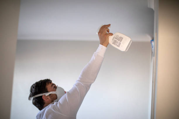 Best HVAC Mold Remediation in Nellysford, VA
