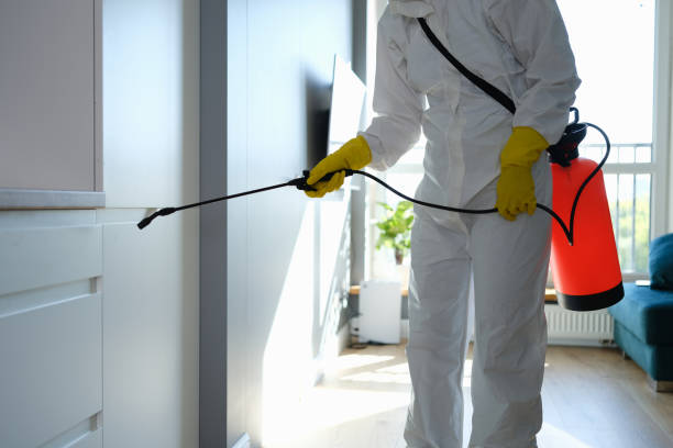 Best Insurance-Related Mold Remediation in Nellysford, VA