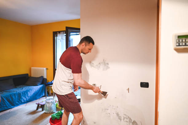 Best Localized Mold Remediation (e.g., coastal areas, humid climates) in Nellysford, VA
