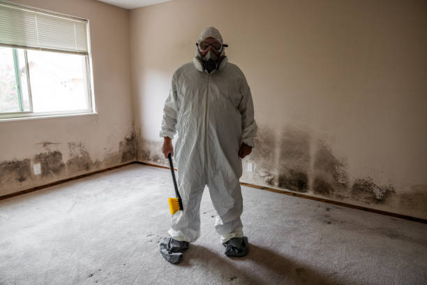 Best Crawl Space Mold Remediation in Nellysford, VA